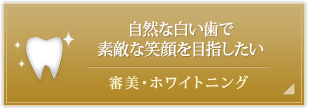 審美・ホワイトニング