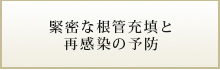 緊密な根管充填と再感染の予防